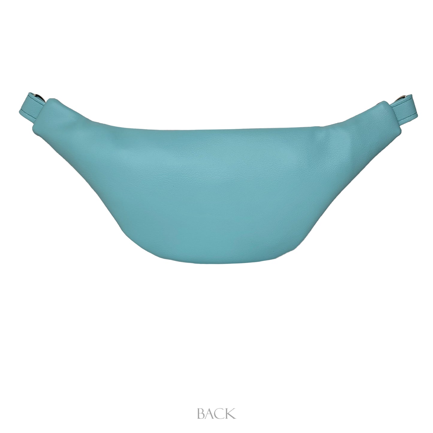 Cucpake- Ferris Fanny Pack