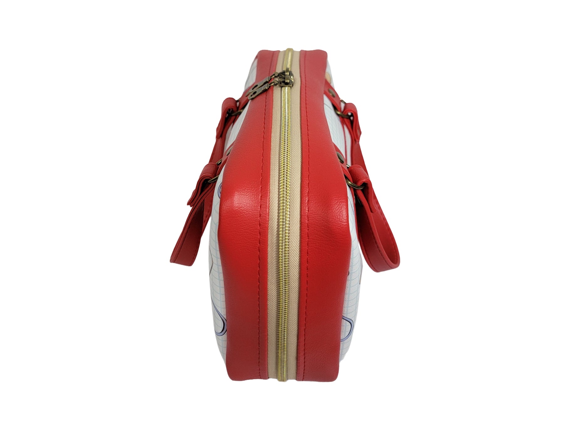 Healthcare Bible Carrier